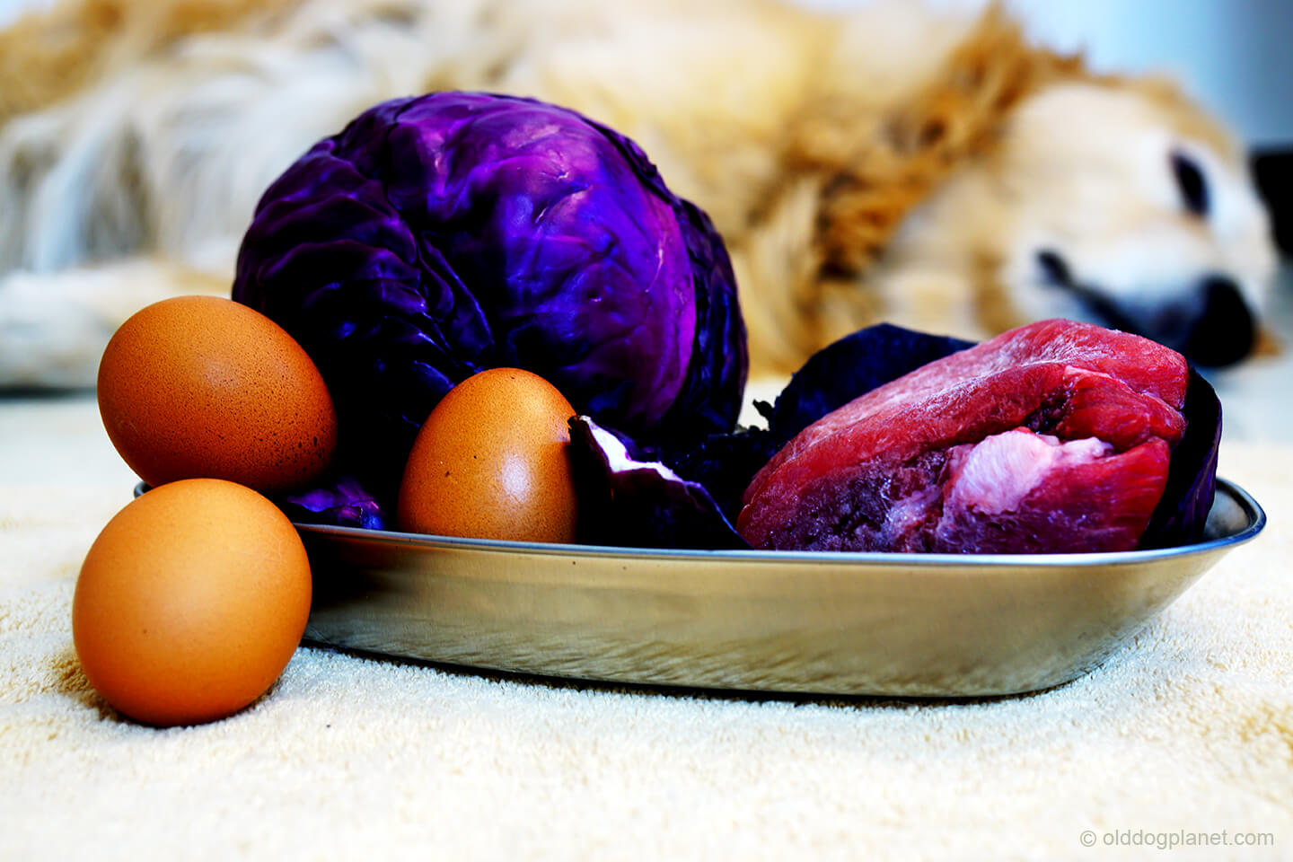 Foods high in zinc for dogs