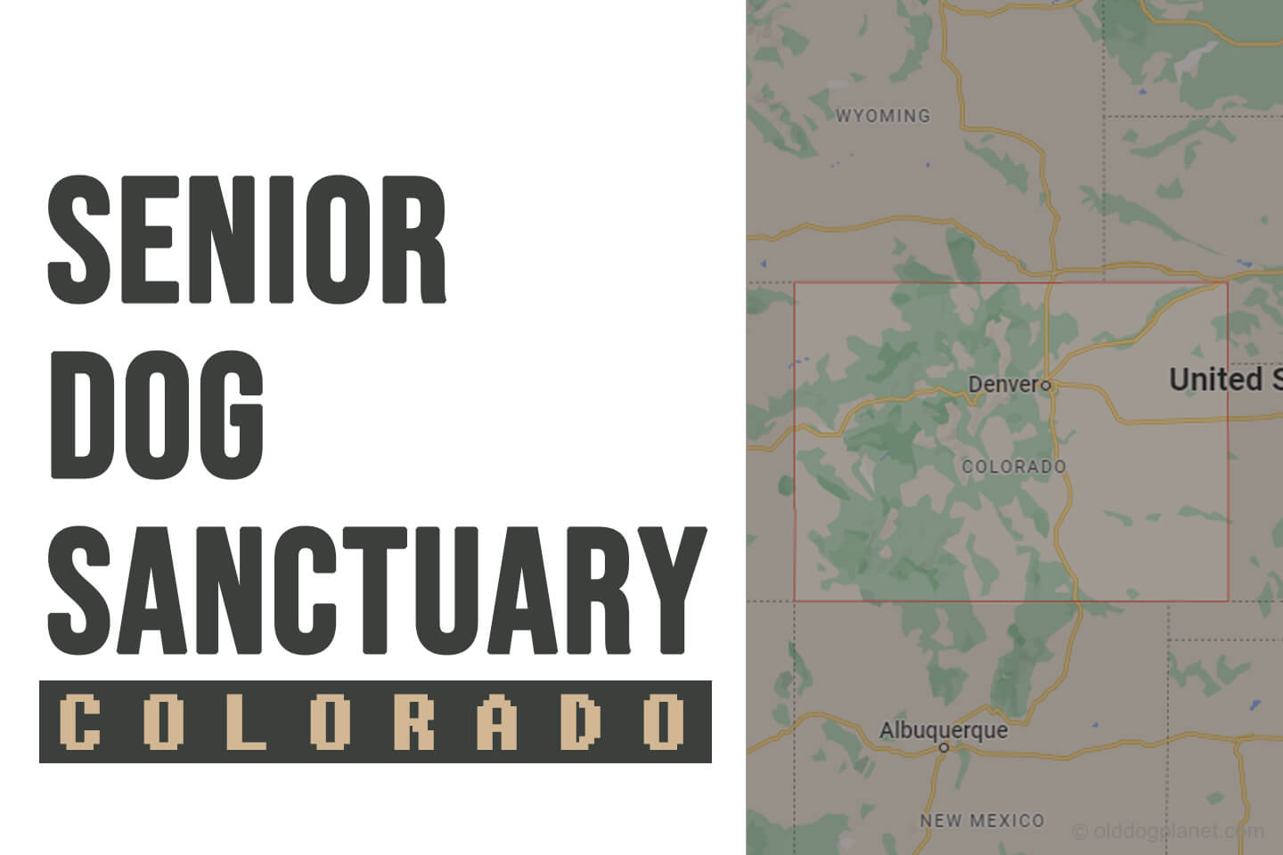 senior-dog-sanctuary-colorado-2023