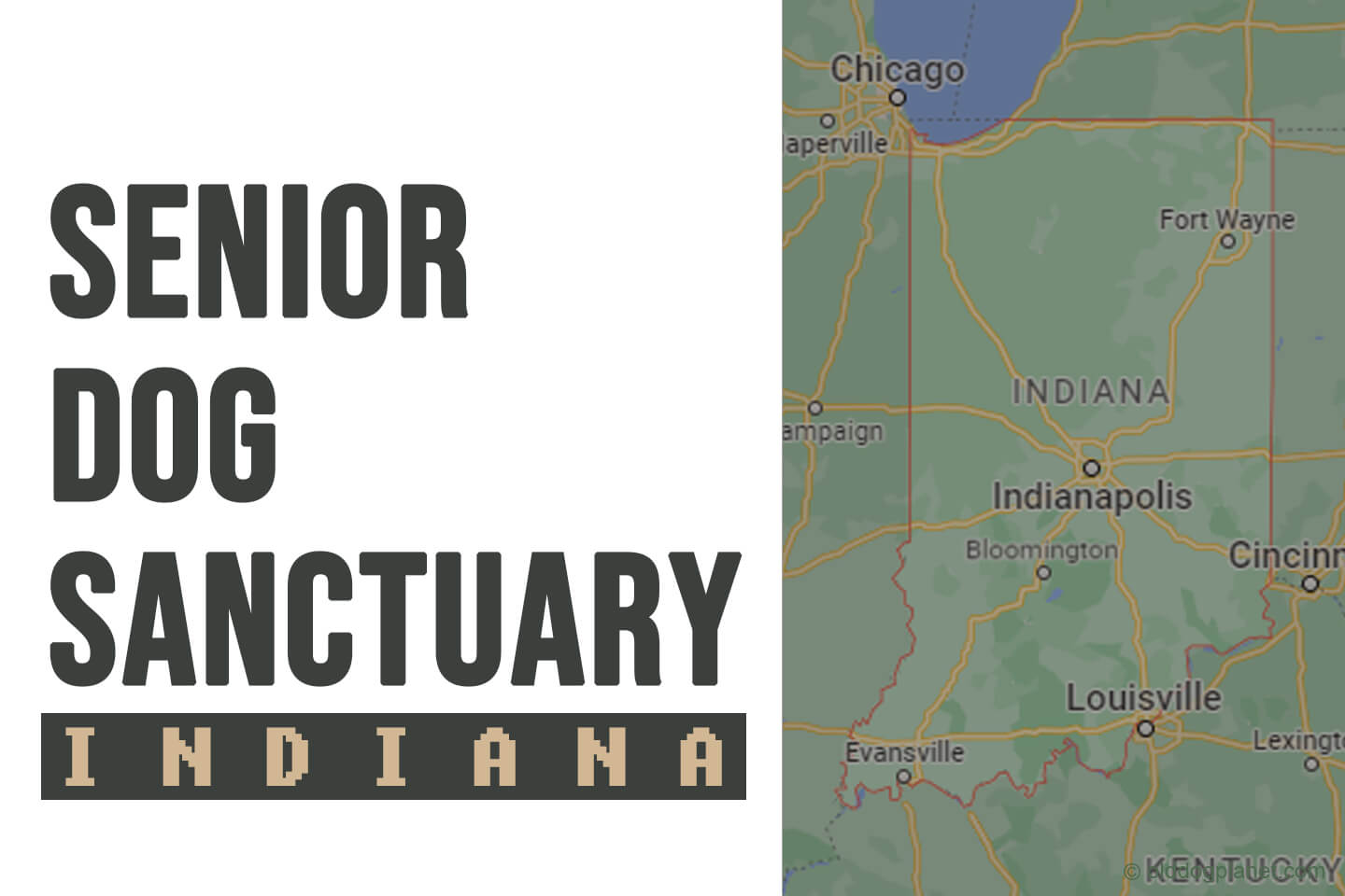 Senior Dog Sanctuary Indiana | 2024