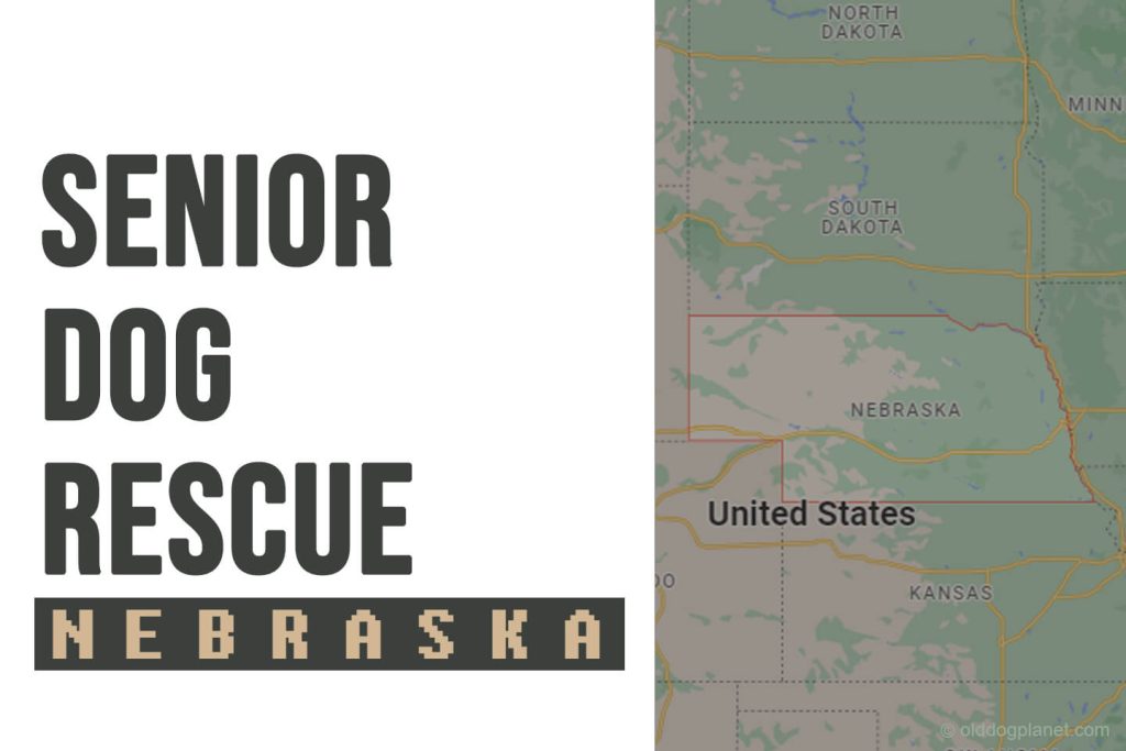 Senior Dog Rescue Nebraska
